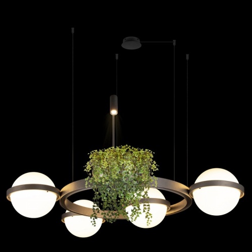 Подвесная люстра Loft it Jardin 10121/4 Dark grey в Нижнем Новгороде фото 3