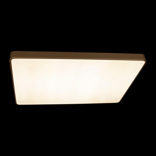 Накладной светильник Loft it Flims 10228/E в Качканаре фото 7