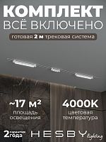 Комплект трековый Hesby Lighting Skylite №10 HSBL_kompl_S010_VI2W4K в Нижнем Новгороде