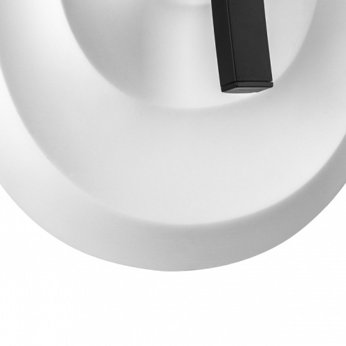 Накладной светильник Lightstar Erica 609646 в Нижнем Новгороде фото 4