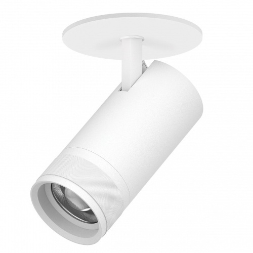 Спот Lightstar Canno Pro C4306RS в Нижнем Новгороде фото 3