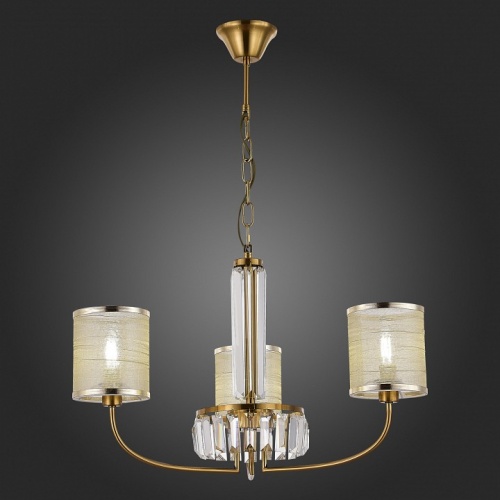 Подвесная люстра EVOLUCE Ellisse SLE1119-303-03 в Нижнем Новгороде фото 5