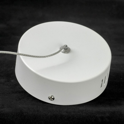 Подвесной светильник Lussole Claudia LSP-0922 в Нижнем Новгороде фото 3