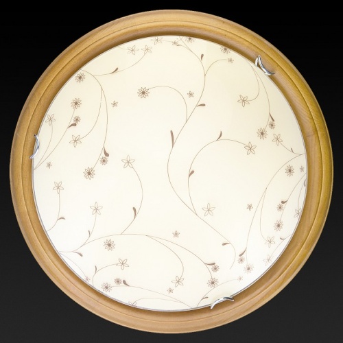 Накладной светильник TopLight Karissa TL9650Y-00OA в Нижнем Новгороде фото 2