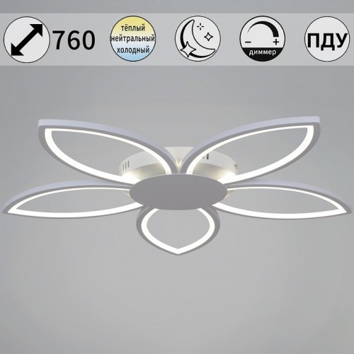 Потолочная люстра 09877-0.3-05 WH в Нижнем Новгороде фото 6