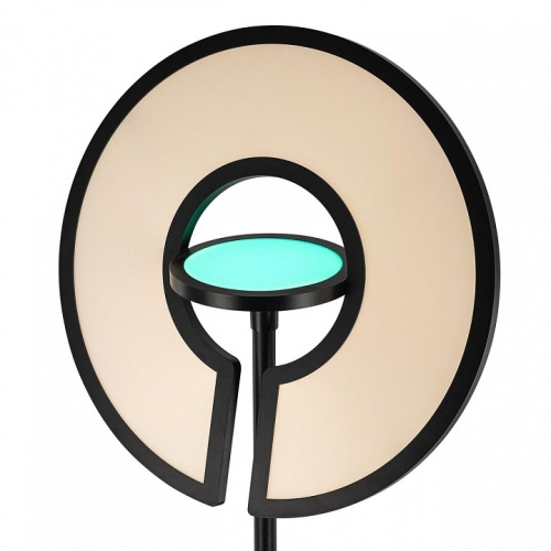 Торшер Citilux LOONG CL810031 в Нижнем Новгороде фото 11