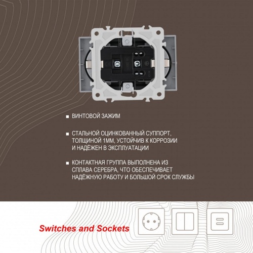 Розетка двойная с заземлением, без рамки Arte Milano am-206 206.40-2.silver в Нижнем Новгороде фото 2