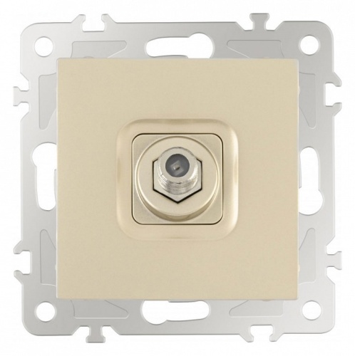 ТВ-розетка без рамки Arte Milano am-206 206.42-1.shampan в Нижнем Новгороде