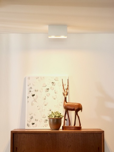 Накладной светильник Lucide Bodi 09101/02/31 в Нижнем Новгороде фото 3