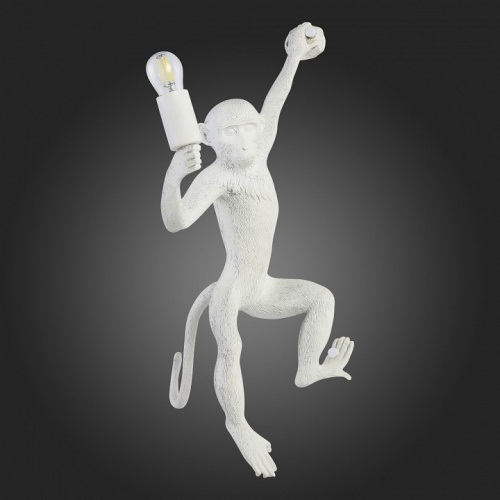 Накладной светильник EVOLUCE Tenato SLE115111-01 в Нижнем Новгороде фото 2