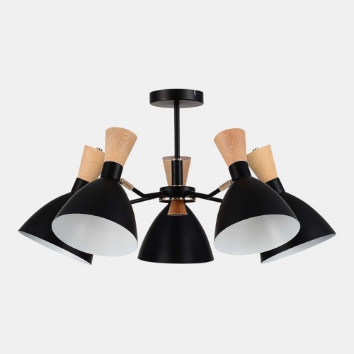 Люстра на штанге EVOLUCE VISTA SLE1256-402-05 в Нижнем Новгороде фото 10