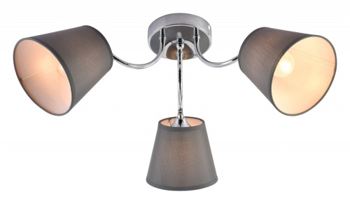 Потолочная люстра Rivoli Alexa Б0059973 в Нижнем Новгороде фото 6