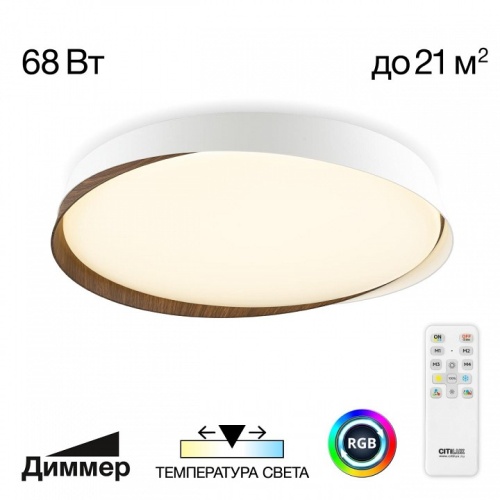 Накладной светильник Citilux BONNY CL754450G в Ревде фото 12