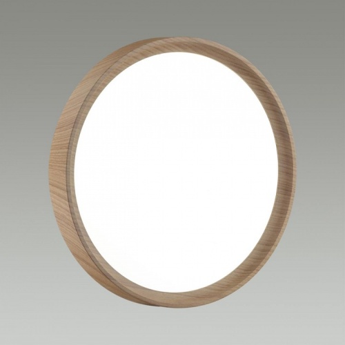 Накладной светильник Sonex Woodi 7603/ELN в Нижнем Новгороде фото 5