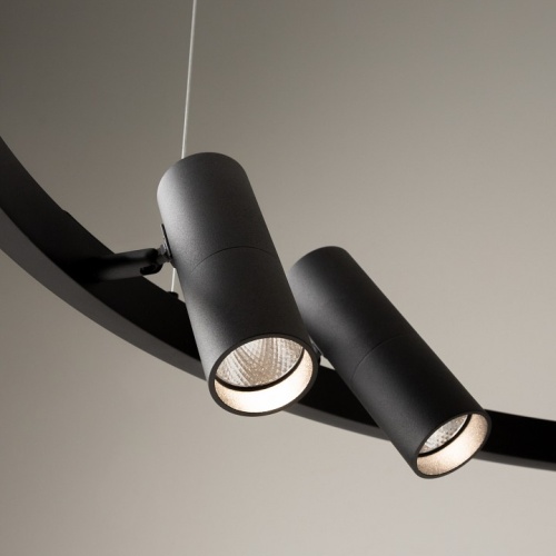 Подвесная люстра Maytoni Halo MOD102PL-L42BK в Нижнем Новгороде фото 3