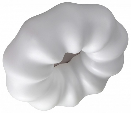 Накладной светильник Zortes Soft ZRS.1118.3 в Нижнем Новгороде фото 5