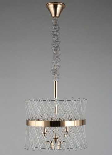 Подвесной светильник Aployt Toinet APL.734.06.03 в Нижнем Новгороде фото 3