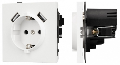 Розетка с заземлением и 2хUSB type A, без рамки Arlight SCT-TENDO 054606 в Нижнем Новгороде