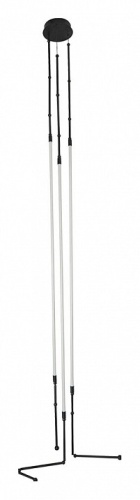 Подвесная люстра Arte Lamp Klimt A2850SP-38BK в Нижнем Новгороде фото 2