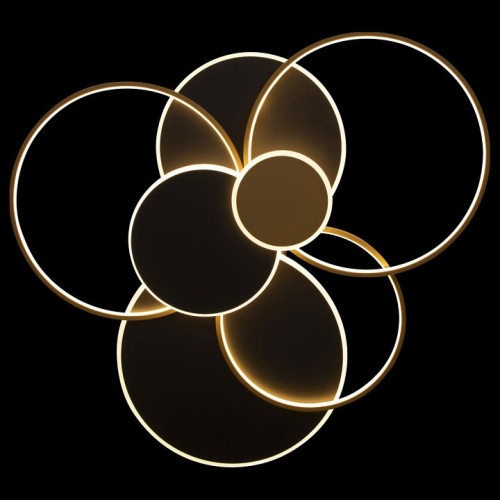 Потолочная люстра Loft it Megan 10163 Black в Нижнем Новгороде фото 2