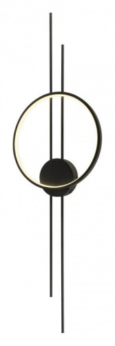 Накладной светильник Aployt Veronik APL.340.01.16 в Нижнем Новгороде