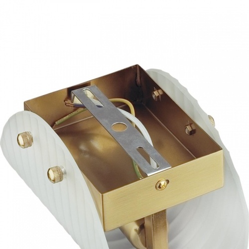 Накладной светильник Lumion Fioro 6571/1W в Нижнем Новгороде фото 7