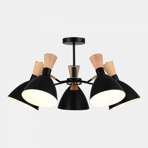 Люстра на штанге EVOLUCE VISTA SLE1256-402-05 в Нижнем Новгороде фото 11