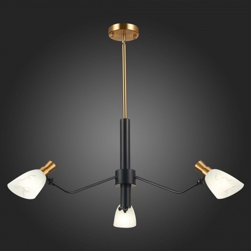 Люстра на штанге EVOLUCE Lita SLE205403-03 в Нижнем Новгороде фото 3