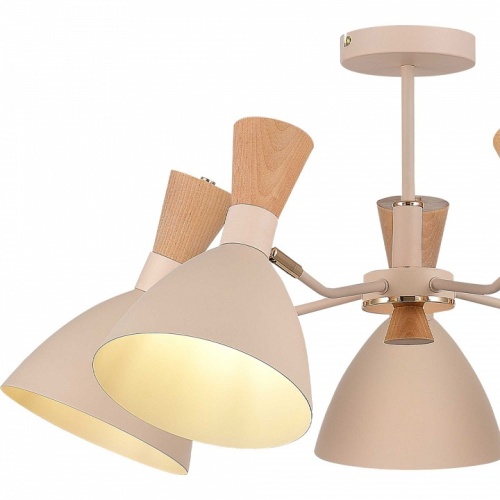 Люстра на штанге EVOLUCE VISTA SLE1256-502-05 в Нижнем Новгороде фото 4