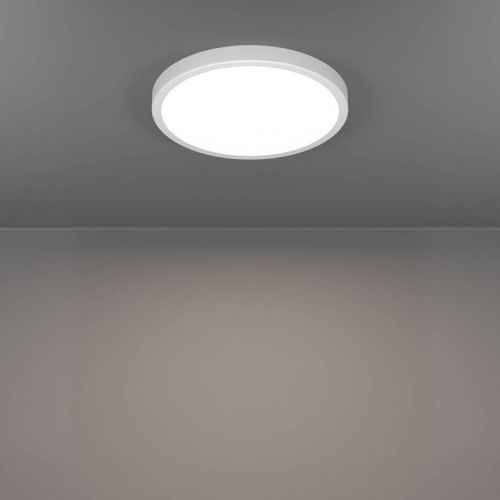 Накладной светильник Eglo FUEVA 6 901334 в Нижнем Новгороде фото 3