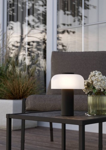 Настольная лампа декоративная Eglo PONENTE 900984 в Нижнем Новгороде фото 3