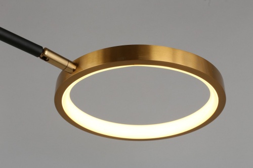 Потолочная люстра Aployt Ines APL.043.07.65 в Нижнем Новгороде фото 5