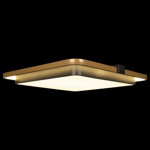 Накладной светильник Loft it Mike 10172 в Нижнем Новгороде фото 2