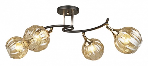 Потолочная люстра 04236-0.3-04 BK+FGD в Нижнем Новгороде