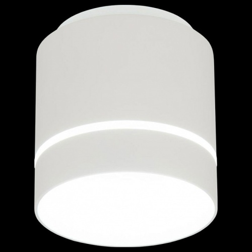 Накладной светильник Citilux Борн CL745020N в Ермолино фото 2