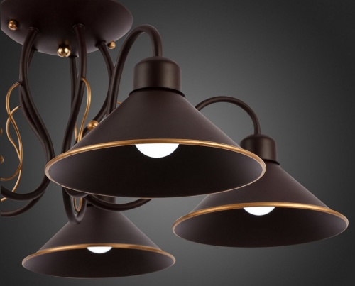 Люстра на штанге EVOLUCE Ciolla SLE120402-05 в Нижнем Новгороде фото 12