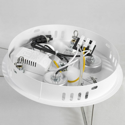 Подвесная люстра Lussole Cuscino GRLSP-8602 в Нижнем Новгороде фото 2