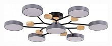 Потолочная люстра EVOLUCE Faema SLE6006-702-07 в Нижнем Новгороде