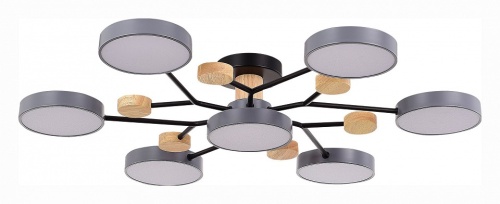 Потолочная люстра EVOLUCE Faema SLE6006-702-07 в Нижнем Новгороде