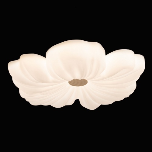 Накладной светильник De City Мадлен 424019501 в Нижнем Новгороде фото 7