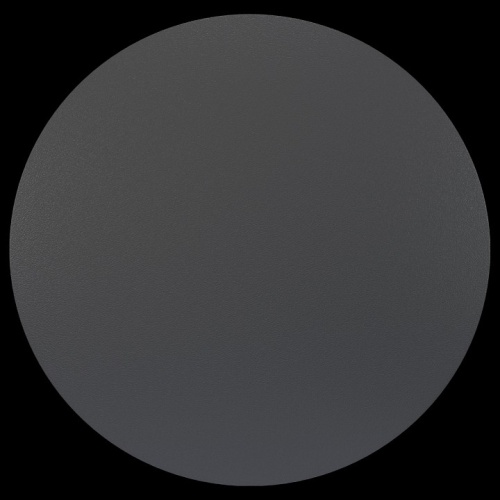 Накладной светильник Maytoni Wald O420WL-L12GF в Сычевке фото 5