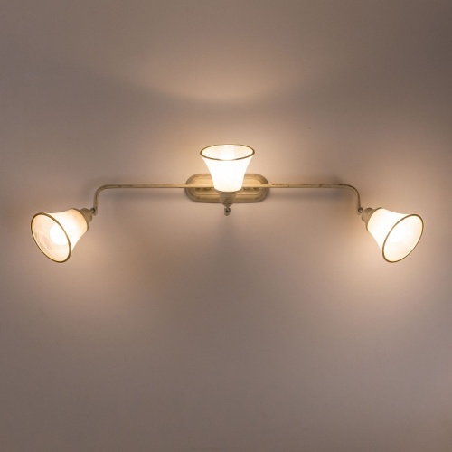 Спот Citilux Прованс CL511534 в Нижнем Новгороде фото 2