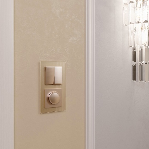 Рамка на 2 поста Werkel Favorit (шампань) W0021111 в Нижнем Новгороде фото 2