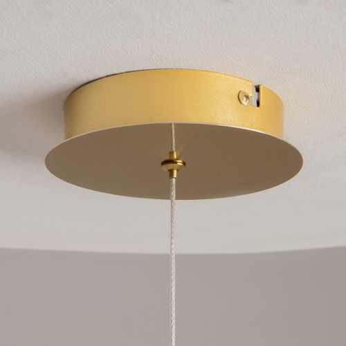 Подвесной светильник Maytoni Foresight MOD347PL-L8BS3K в Нижнем Новгороде фото 11