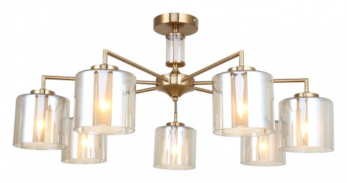 Люстра на штанге Rivoli Adelina Б0062137 в Нижнем Новгороде