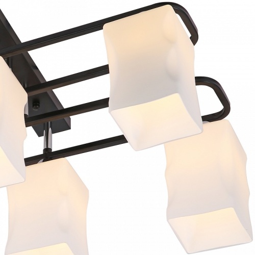 Потолочная люстра 06595-0.3-06 в Нижнем Новгороде фото 4