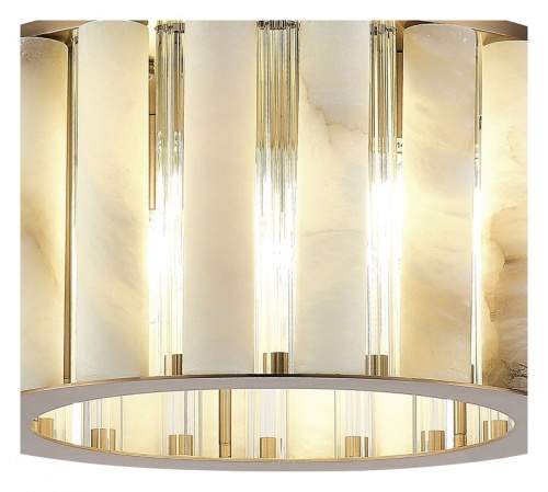 Накладной светильник ST-Luce Delight SL1516.302.06 в Нижнем Новгороде фото 3