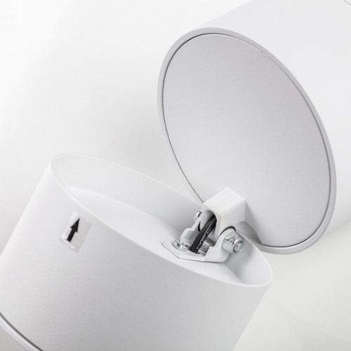 Накладной светильник Lightstar Acuto 215836 в Нижнем Новгороде фото 6