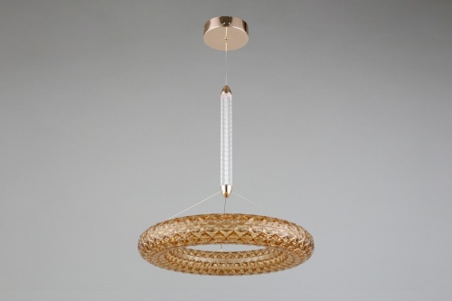 Подвесной светильник Aployt Danuta APL.035.06.25 в Нижнем Новгороде фото 11