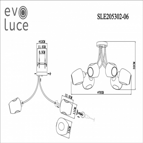 Потолочная люстра EVOLUCE Besano SLE205302-06 в Новороссийске фото 5